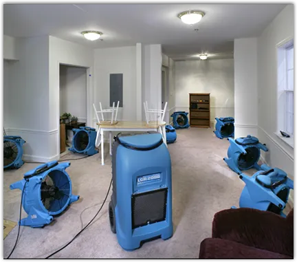 Water Damage Restoration services in Bellevue, PA