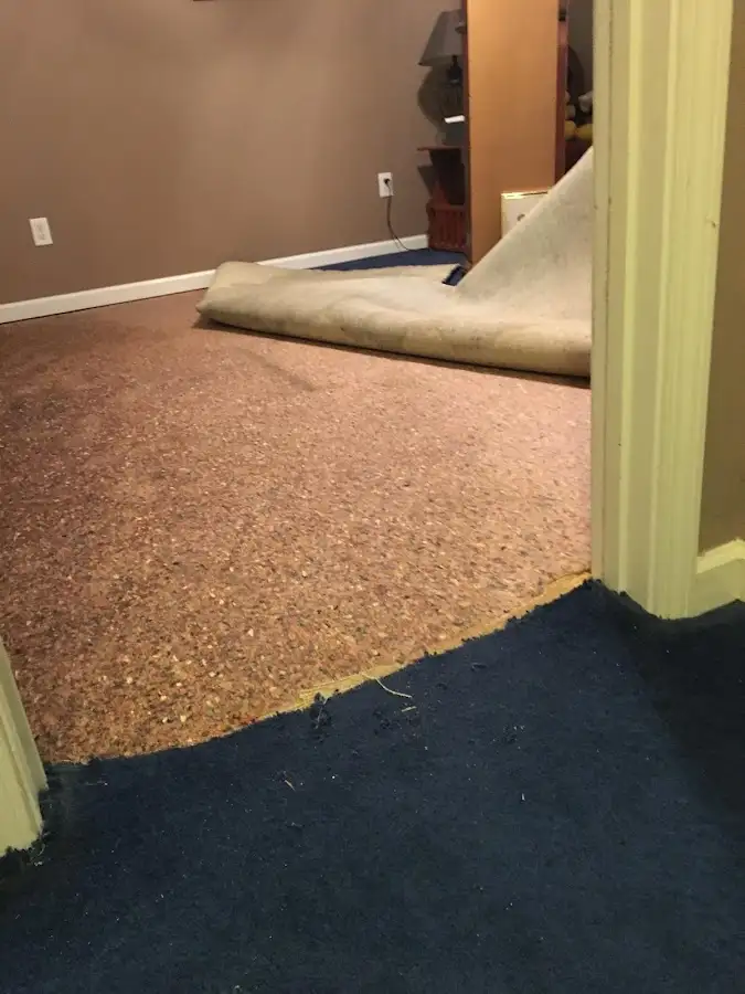 Carpet pad removal revealing water damage during Drying & Dehumidification in Bellevue