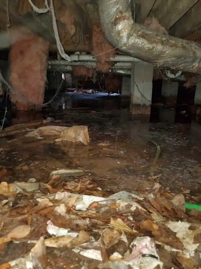 Crawl space flood assessment for Leak Detection & Repair in Bellevue