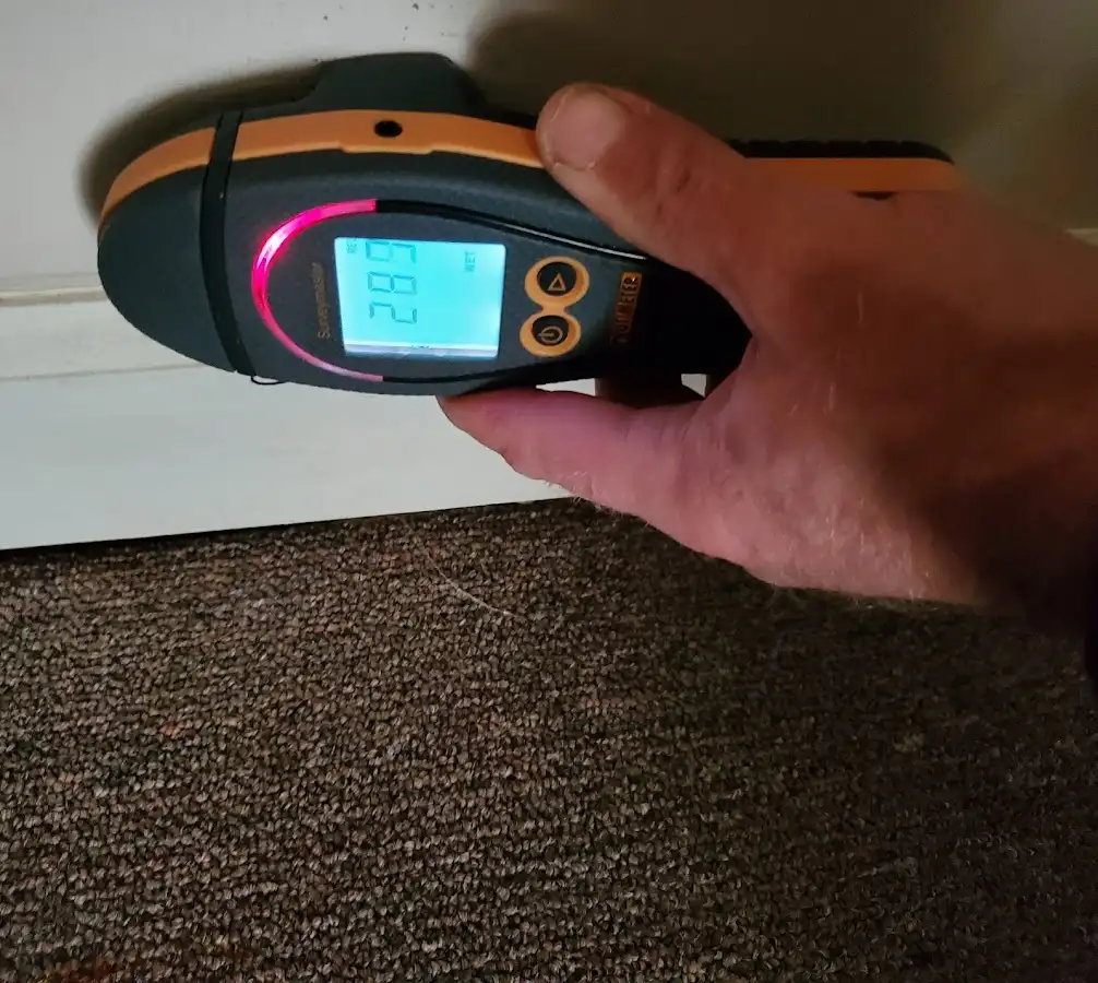 Moisture detection at baseboard during Burst Pipe Cleanup in Bellevue